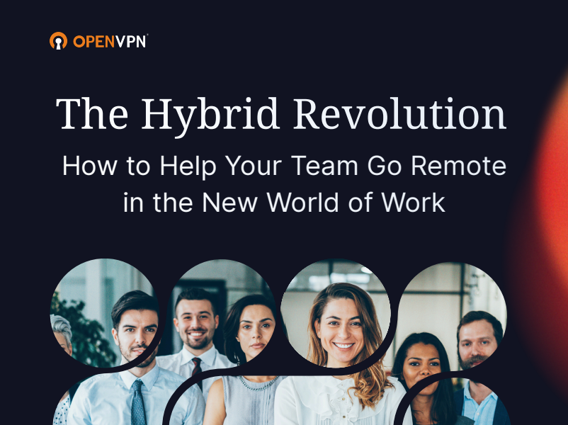 The Hybrid Revolution